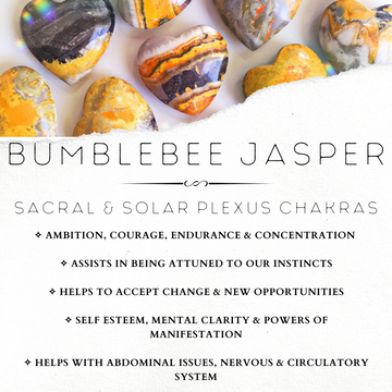 Bumblebee Jasper