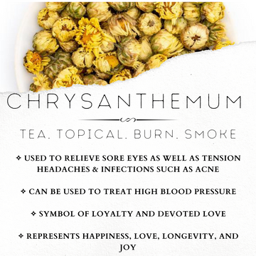 Chrysanthemum Flower