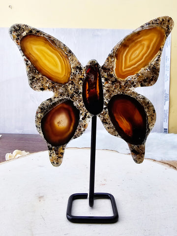 Agate in Resin Standing Butterfly - Sacramento Crystal Co.