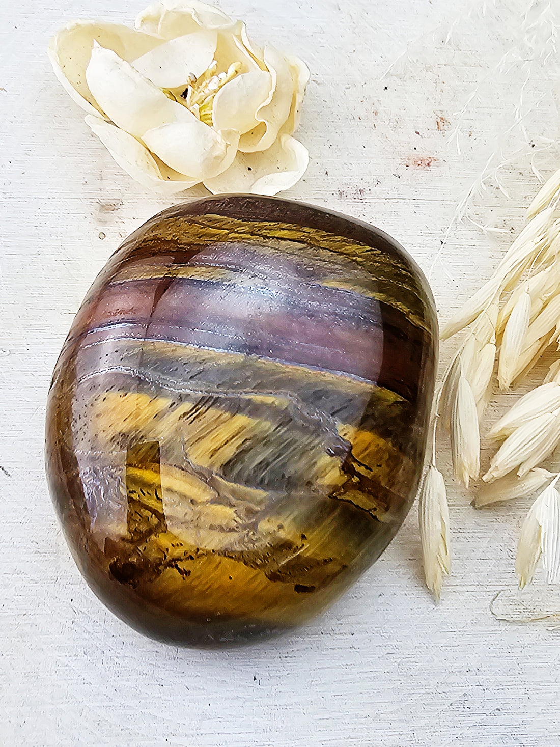 Tiger's Eye Palm Stone XL - Sacramento Crystal Co.