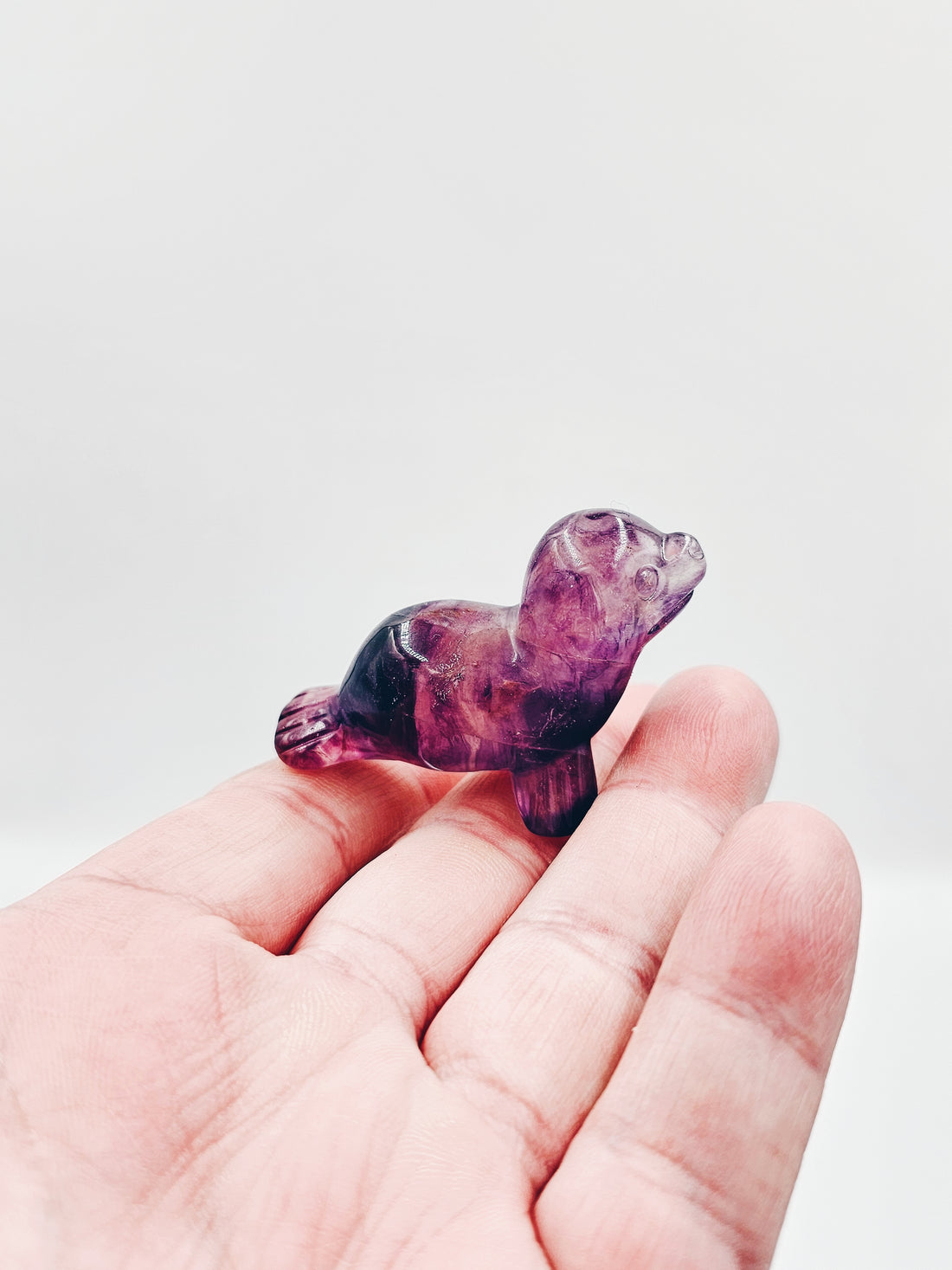 Fluorite Seal A - Sacramento Crystal Co.
