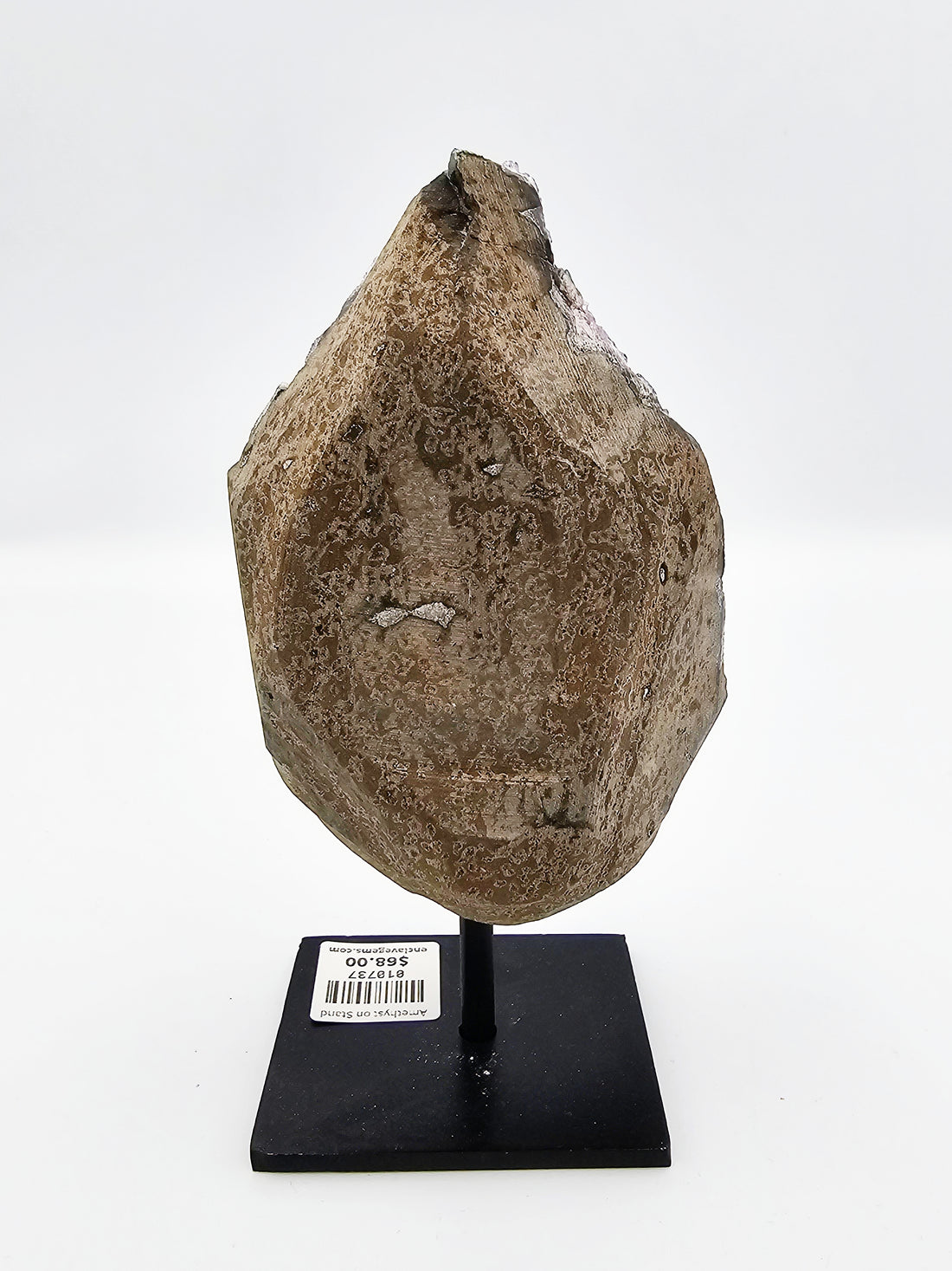 Amethyst Raw /w Base #A - Sacramento Crystal Co.