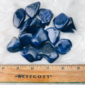 Dumortierite Tumbled Stones - The Bead N Crystal & Enclave Gems