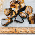 Tiger's Eye (Lg) Tumbled Stones - The Bead N Crystal & Enclave Gems