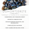 Dumortierite XL Palm Stone - The Bead N Crystal & Enclave Gems