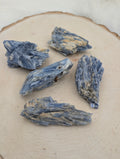 Blue Kyanite Raw - Sacramento Crystal Co.