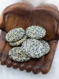 Dalmation Jasper Worry Stones - Sacramento Crystal Co.