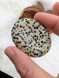 Dalmation Jasper Worry Stones - Sacramento Crystal Co.