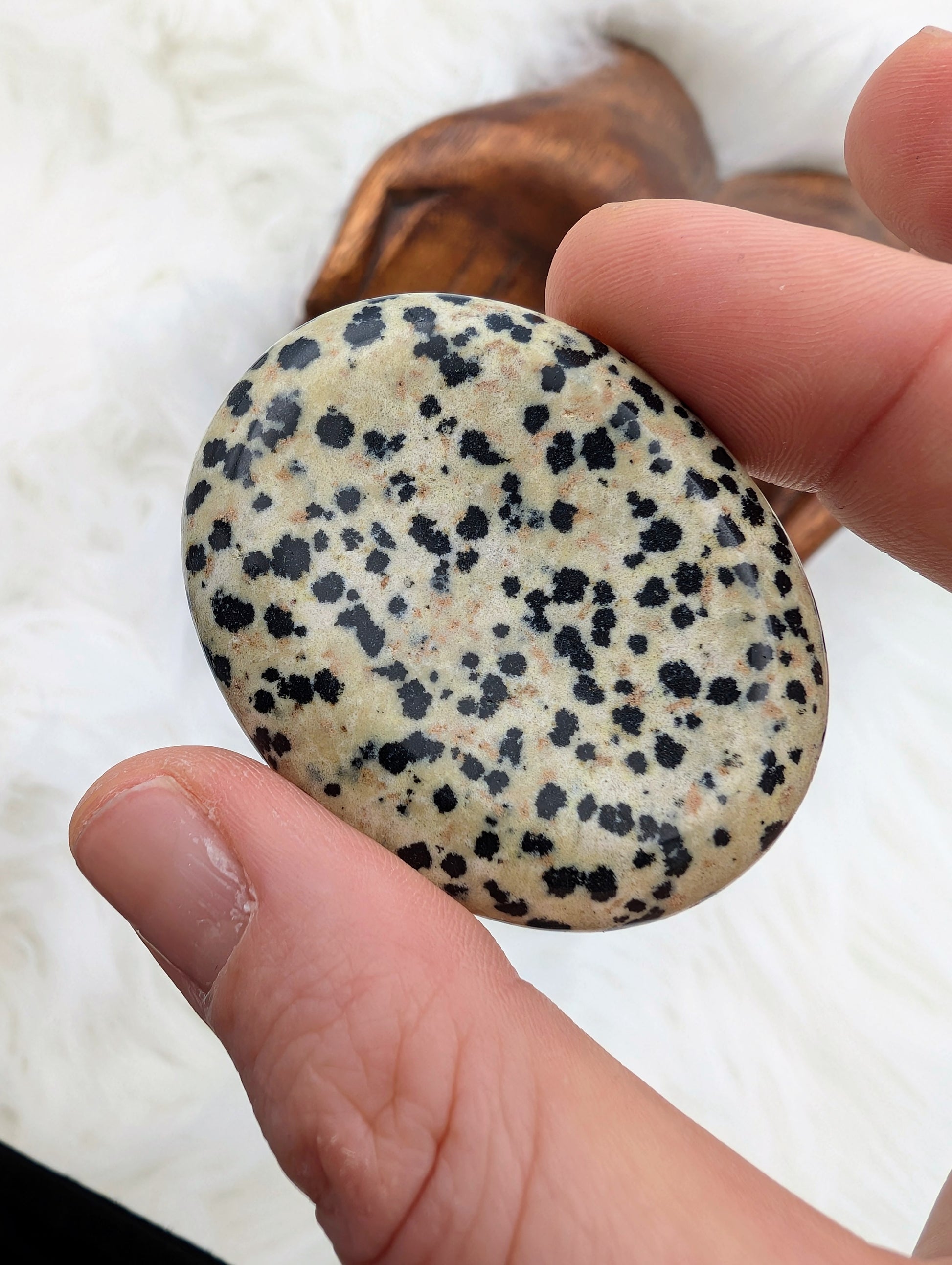 Dalmation Jasper Worry Stones - Sacramento Crystal Co.