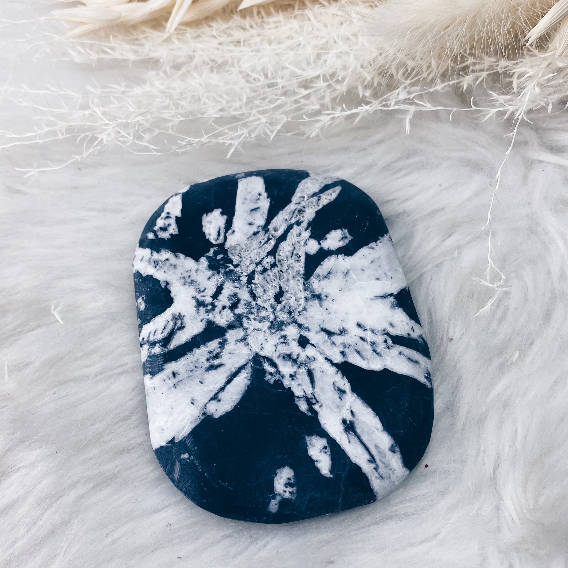 Chrysanthemum Stone Palm Stone - The Bead N Crystal & Enclave Gems