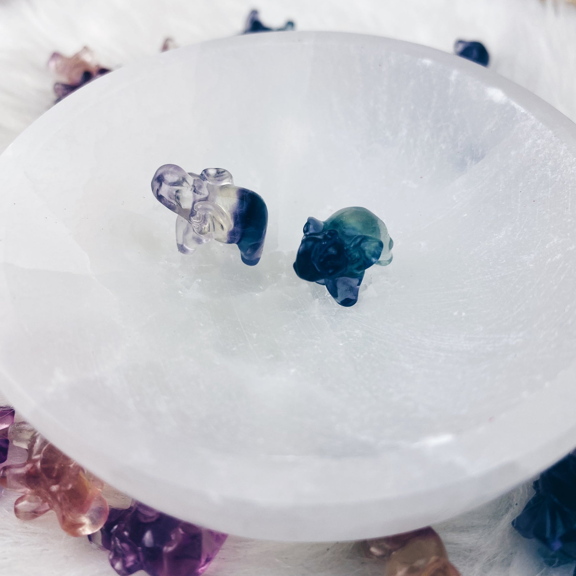 Carved Fluorite Elephants Sm - The Bead N Crystal & Enclave Gems