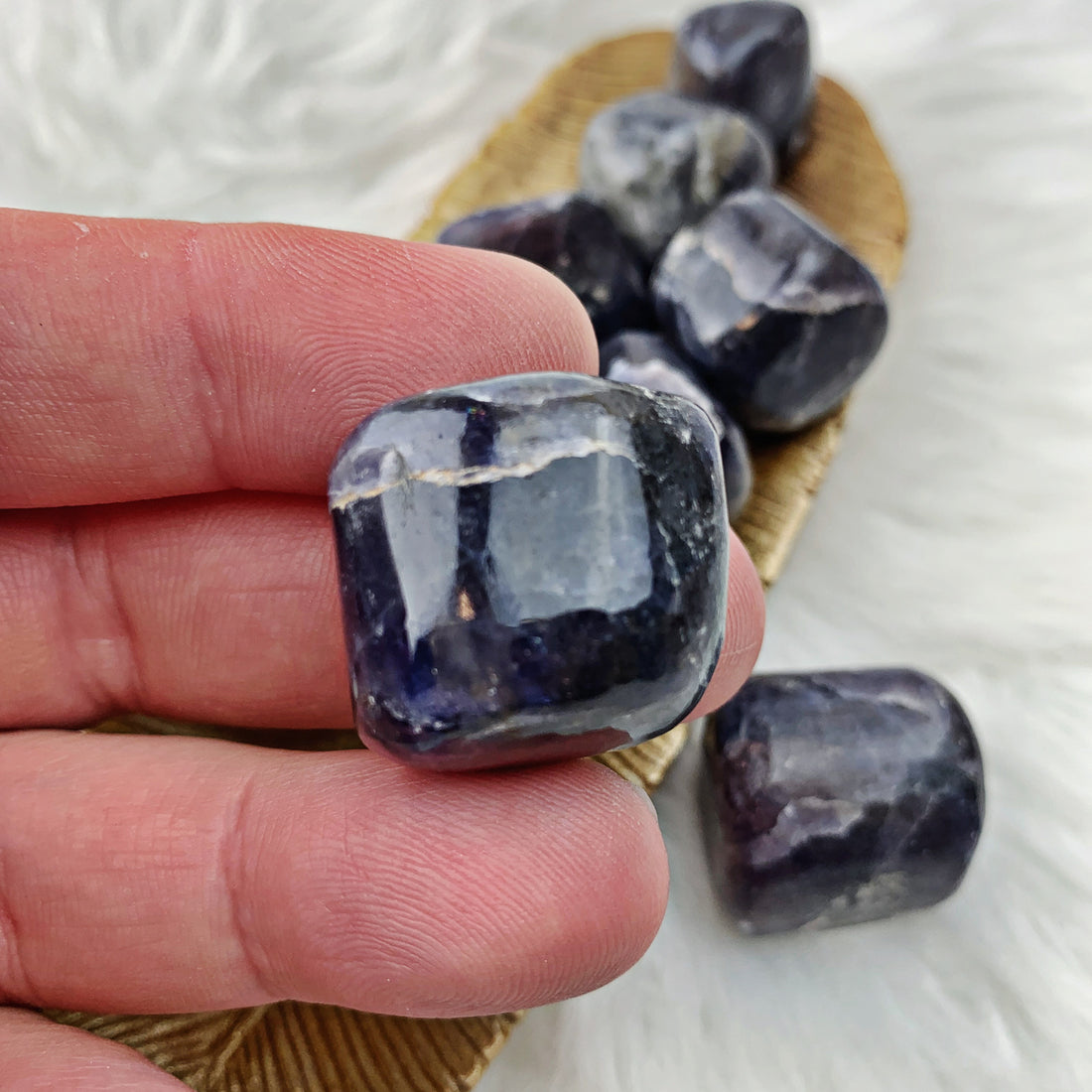 Iolite Tumbled Stones (819) - The Bead N Crystal & Enclave Gems