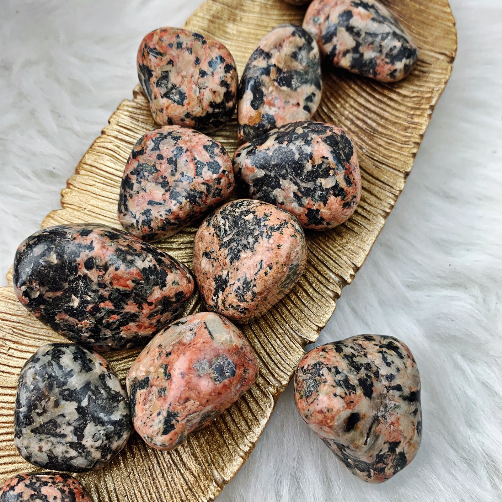 Leopard Skin Jasper Tumbled Stones (814) - The Bead N Crystal & Enclave Gems