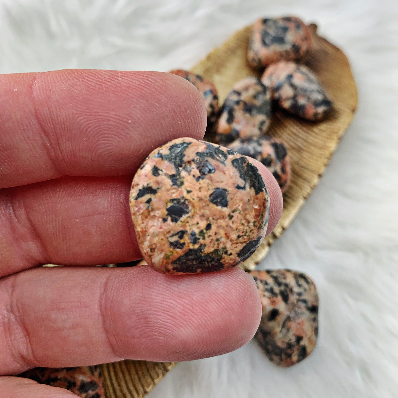 Leopard Skin Jasper Tumbled Stones (814) - The Bead N Crystal & Enclave Gems