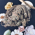 Rose of Jericho - The Bead Shoppe