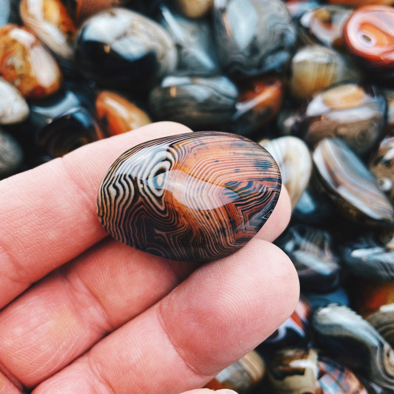 Sardonyx Tumbled Stones (4) - The Bead N Crystal & Enclave Gems