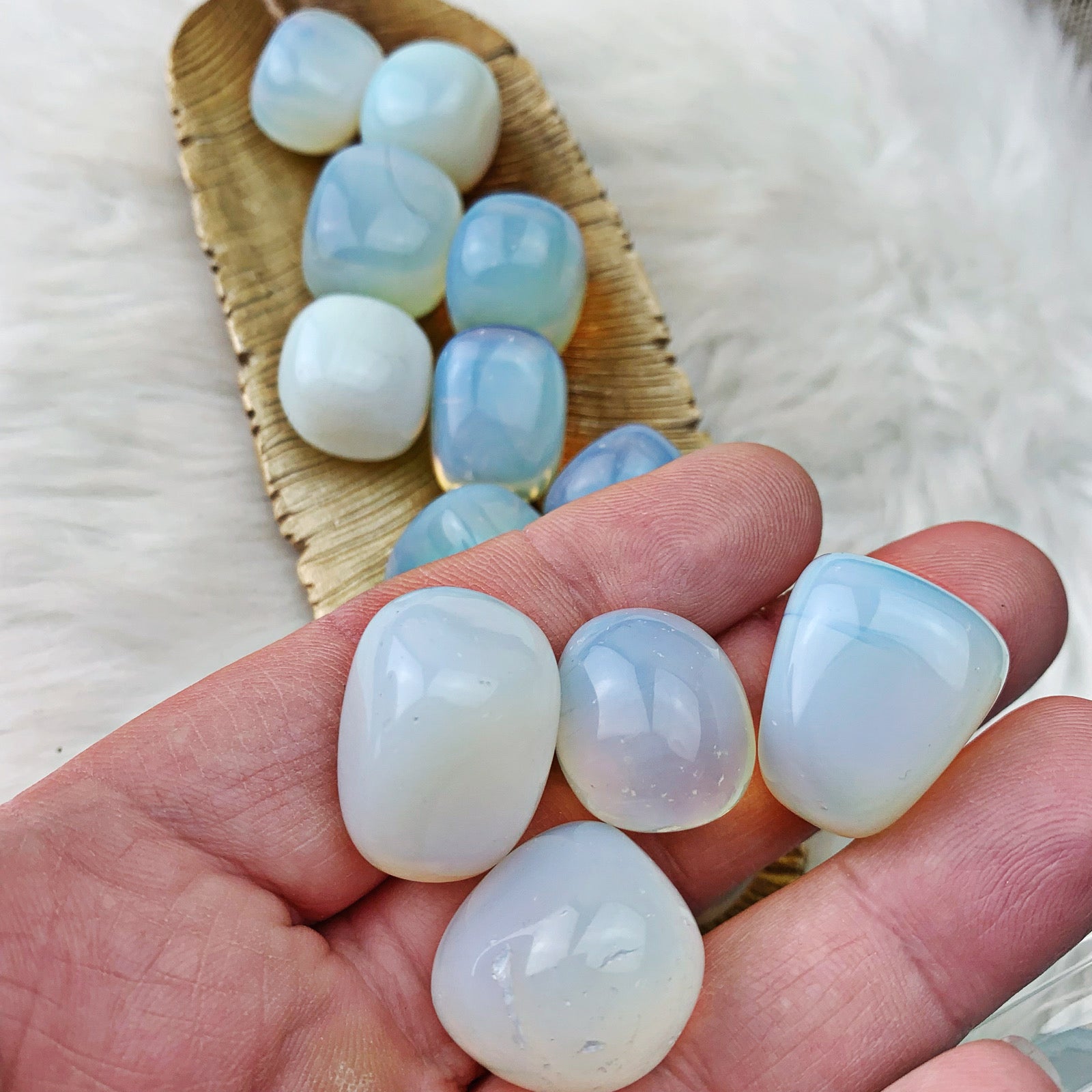 Opalite Tumbled Stones (6) - The Bead N Crystal & Enclave Gems