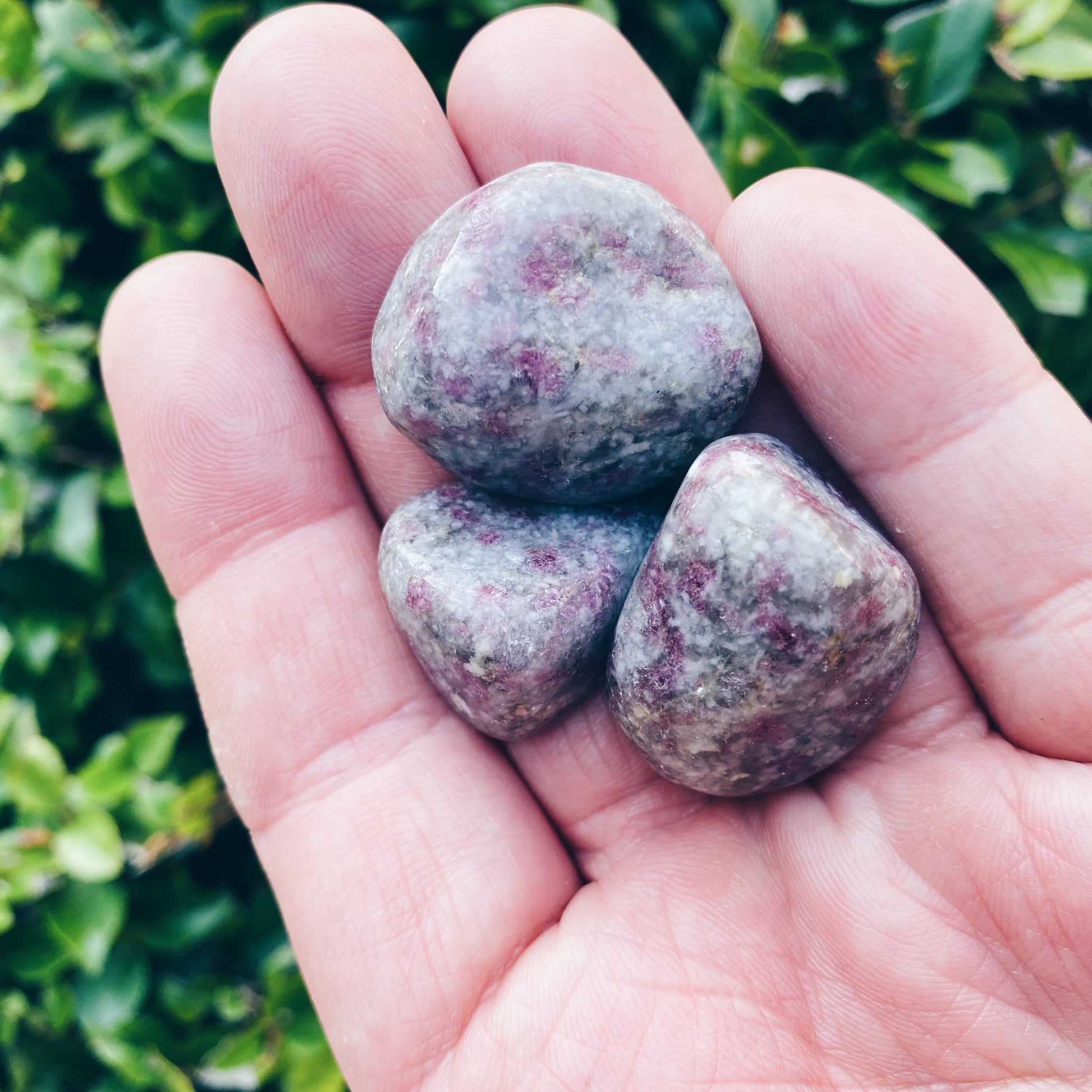 Pink Tourmaline in Quartz Tumbled Stones - The Bead N Crystal & Enclave Gems