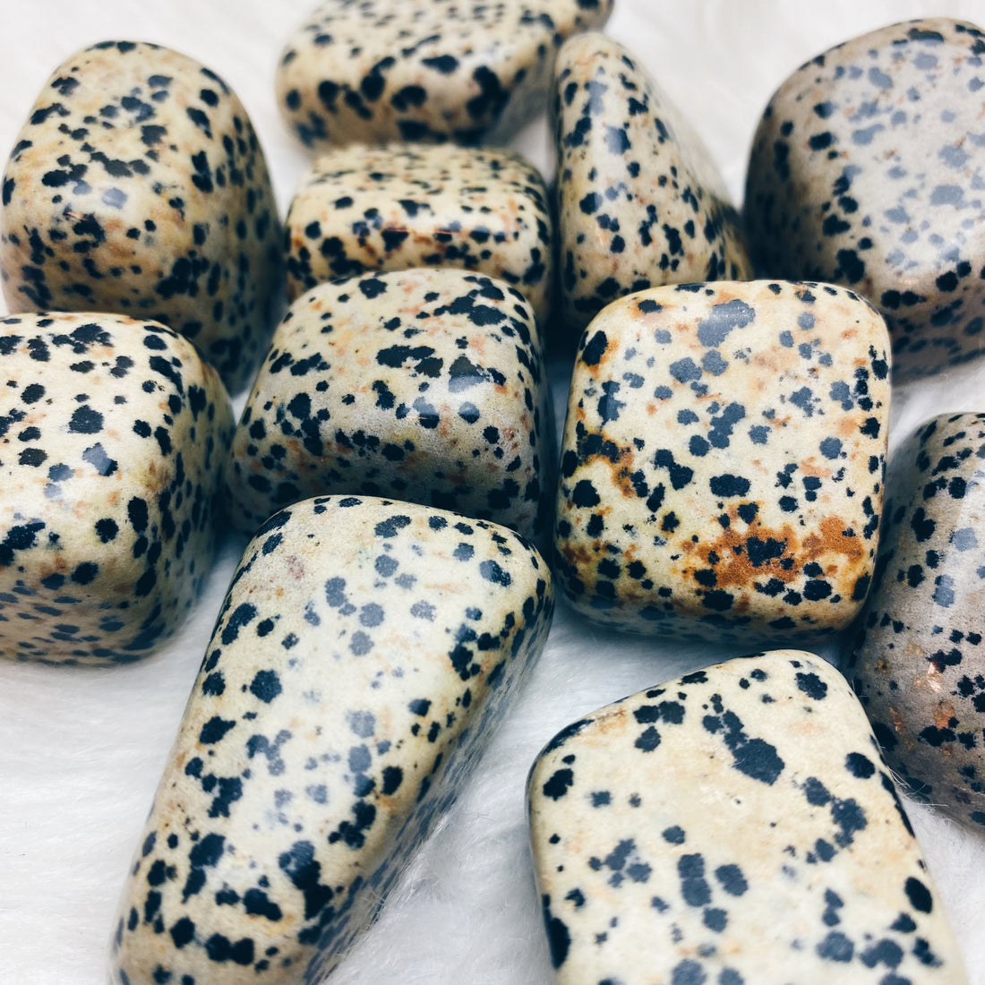 Dalmatian Jasper Tumbled Stones - The Bead N Crystal & Enclave Gems