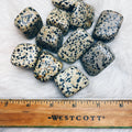 Dalmatian Jasper Tumbled Stones - The Bead N Crystal & Enclave Gems