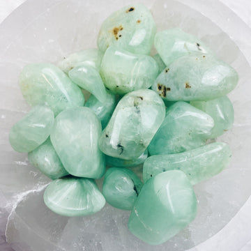 Prehnite Tumbled Stones - The Bead N Crystal & Enclave Gems