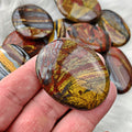 Tiger's Iron Palm Stone (955) - The Bead Shoppe & Enclave Gems