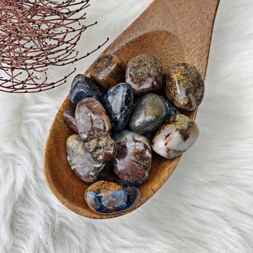 Pietersite Tumbled Stones (Set of 3) - The Bead N Crystal & Enclave Gems