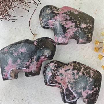 Rhodonite Buffalo (713) - The Bead N Crystal & Enclave Gems