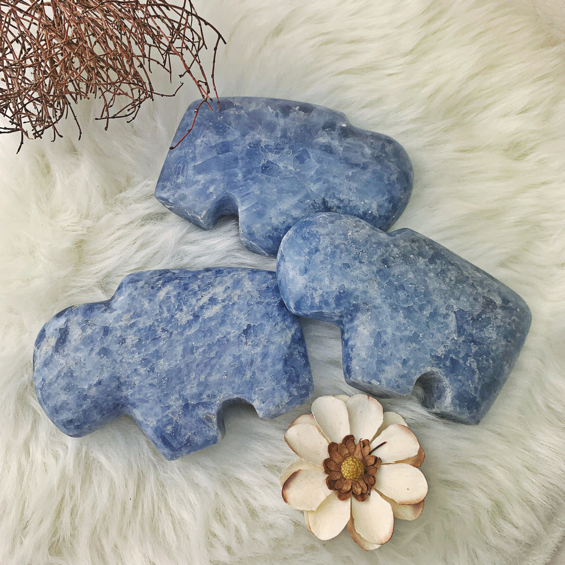 Indigo Blue Calcite Buffalo - The Bead N Crystal & Enclave Gems