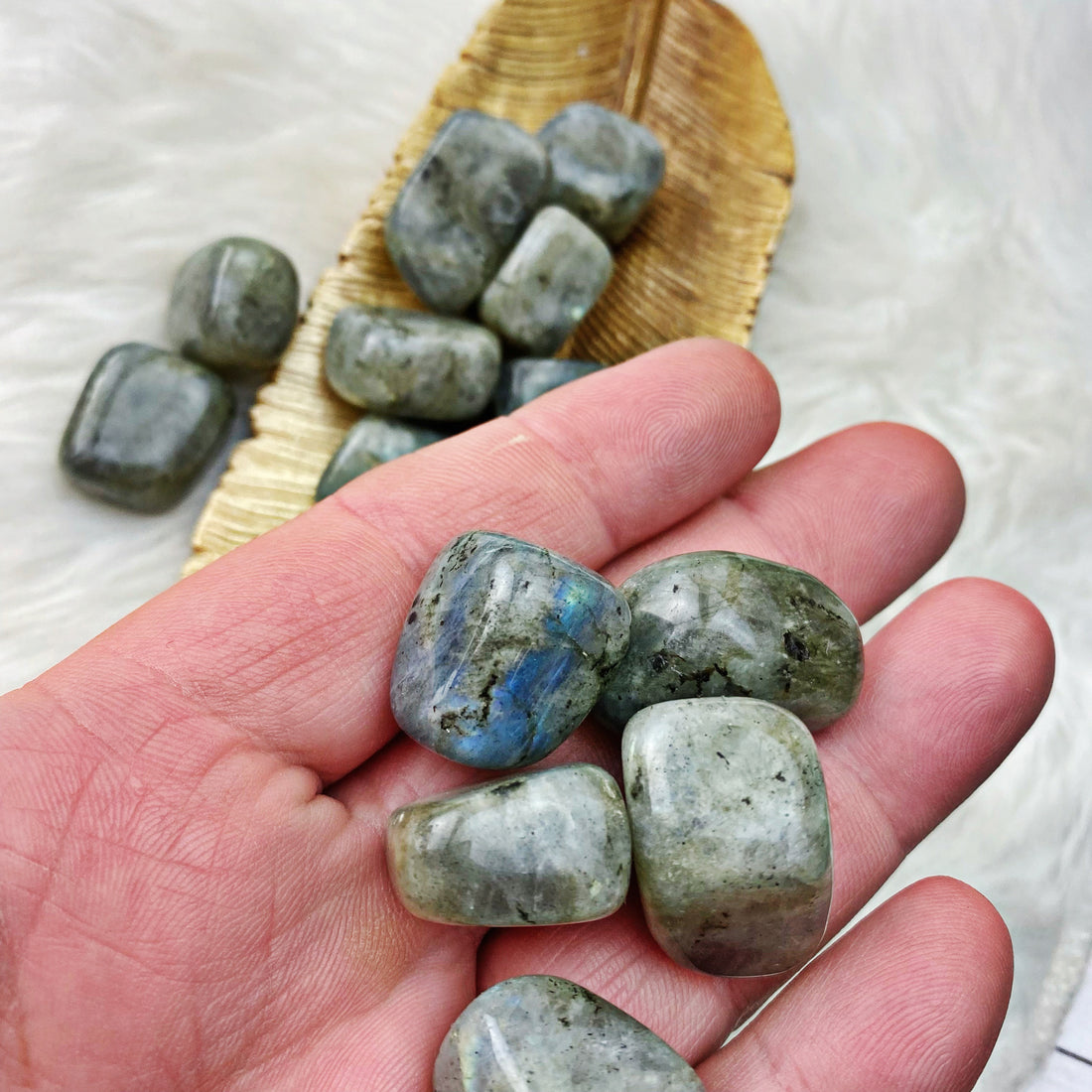 Labradorite Tumbled Stones (58) - The Bead N Crystal & Enclave Gems