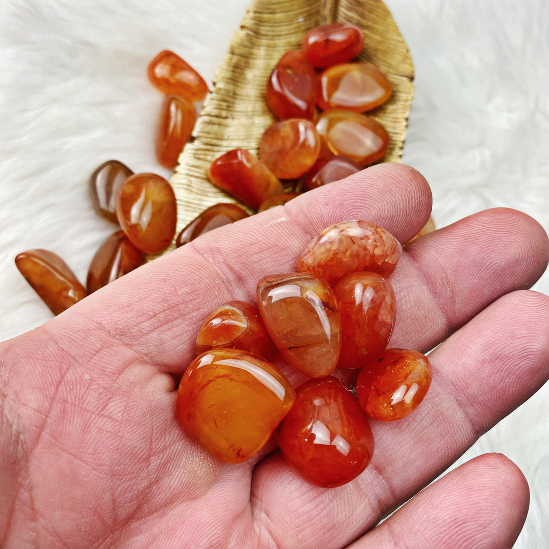 Carnelian Tumbled Stones (Set of 3) (63) - The Bead N Crystal & Enclave Gems