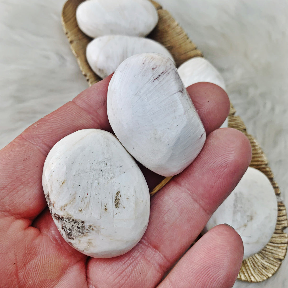 Scolecite Palm Stone (25) - The Bead N Crystal & Enclave Gems