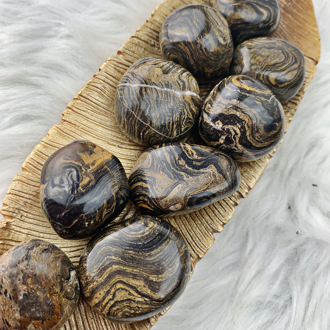 Stromatolite Tumbled Stone (899) - The Bead Shoppe