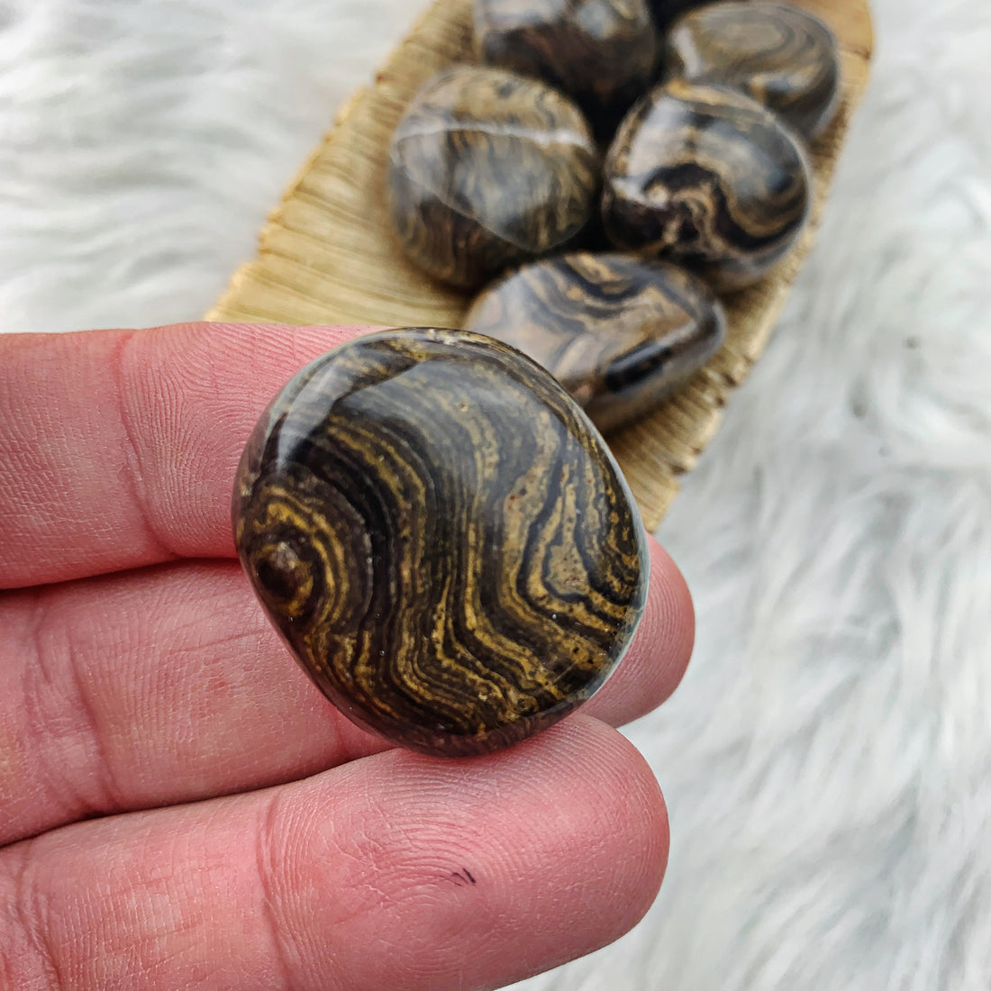 Stromatolite Tumbled Stone (899) - The Bead Shoppe