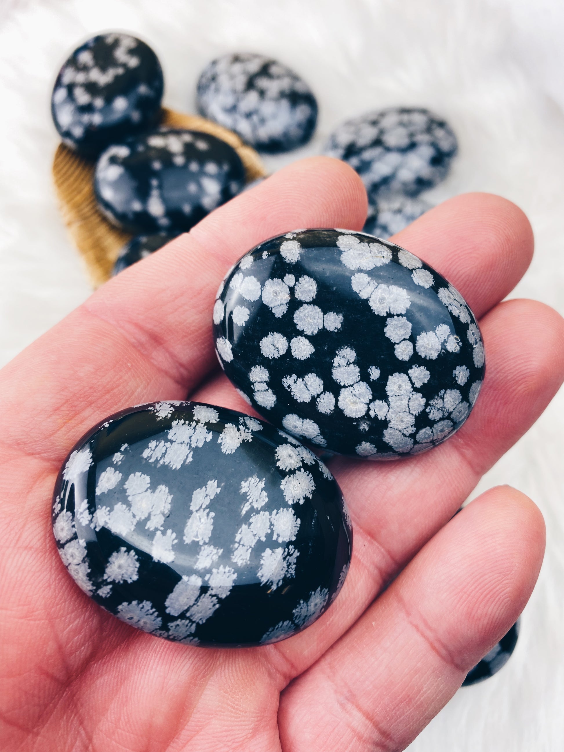 Snowflake Obsidian Palm Stone (654) - The Bead N Crystal & Enclave Gems