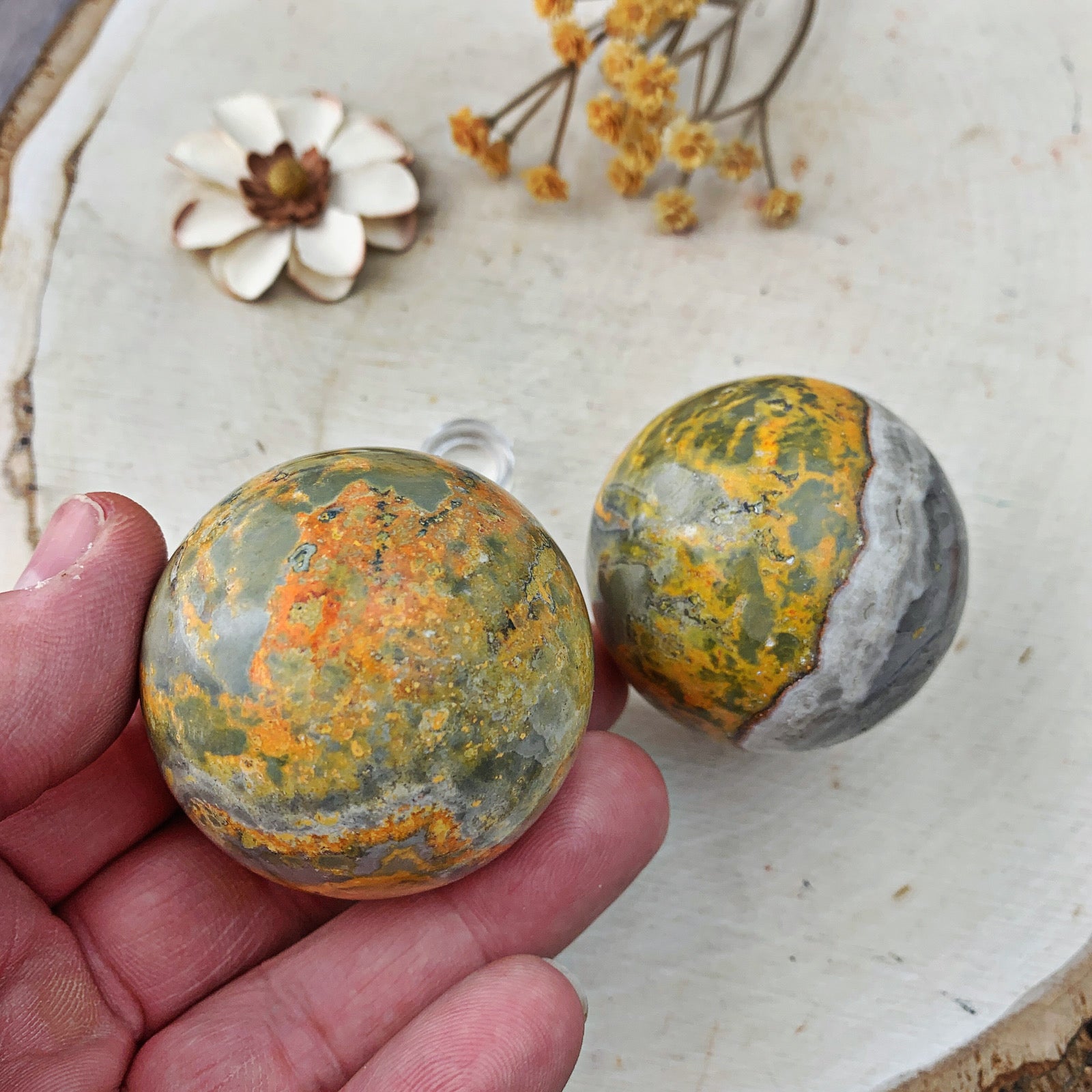 Bumblebee Jasper Spheres Lg (926) - The Bead Shoppe