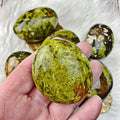 Green Opal Palm Stone LG - Gorgeous Vibrant Green! - The Bead N Crystal & Enclave Gems