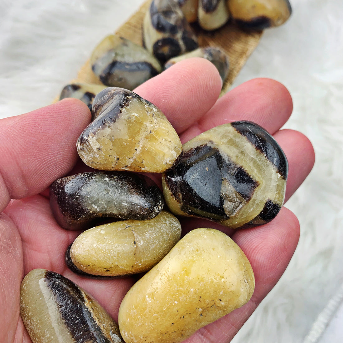 Septarian Tumbled Stone (896) - The Bead Shoppe