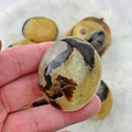 Septarian Palm Stone (895) - The Bead Shoppe