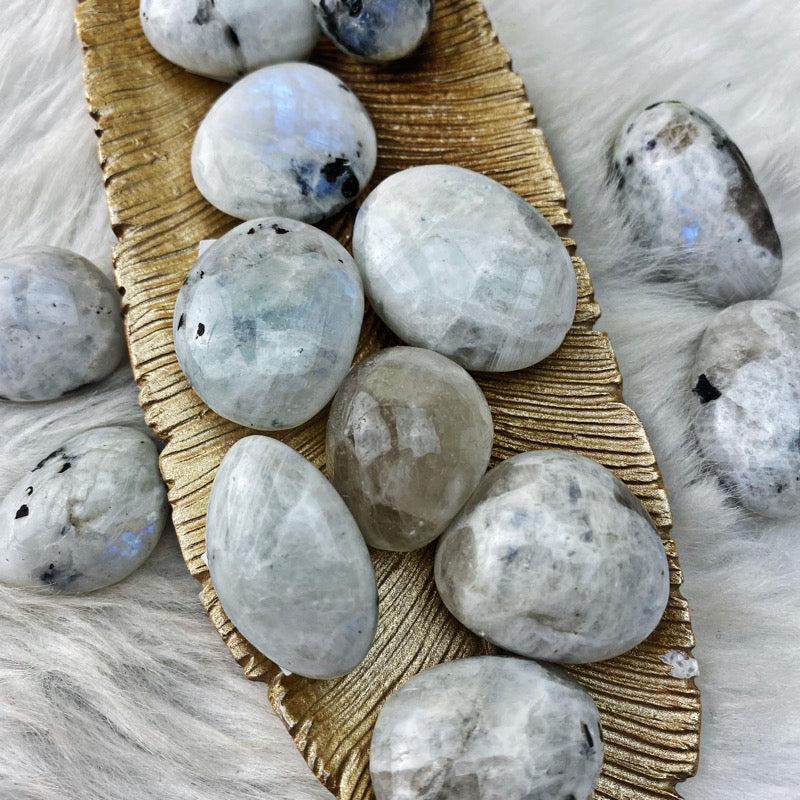 Moonstone Tumbled Stones - Blue Flash! - The Bead N Crystal & Enclave Gems