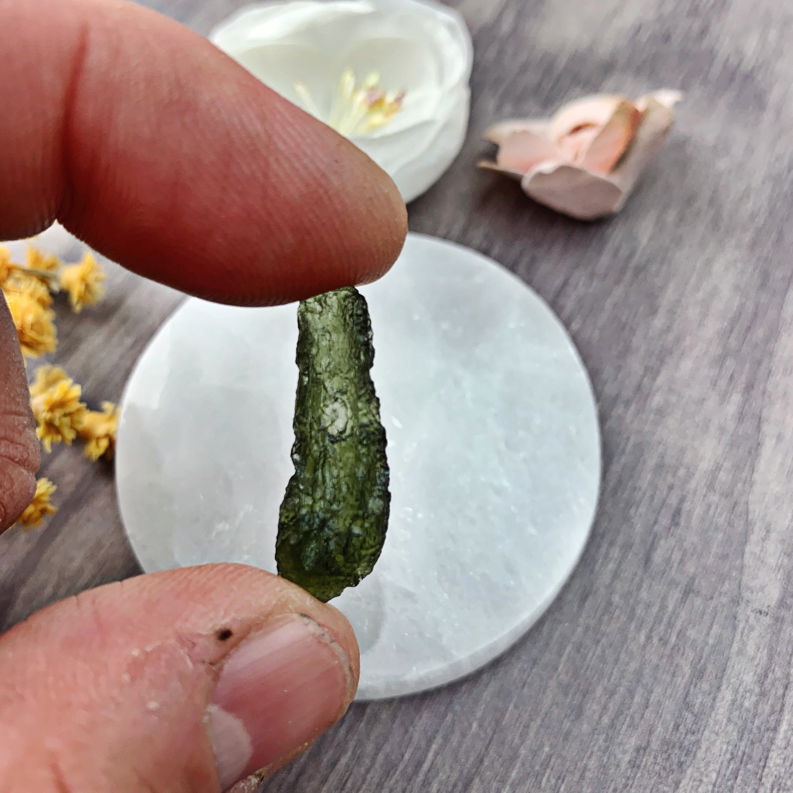 Moldavite Raw (5) - The Bead Shoppe