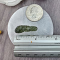 Moldavite Raw (5) - The Bead Shoppe