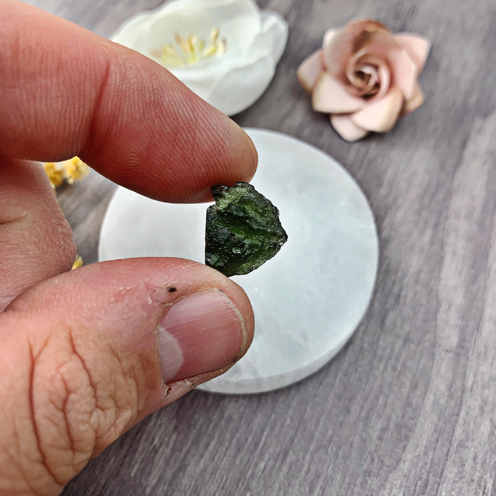 Moldavite Raw (9) - The Bead Shoppe