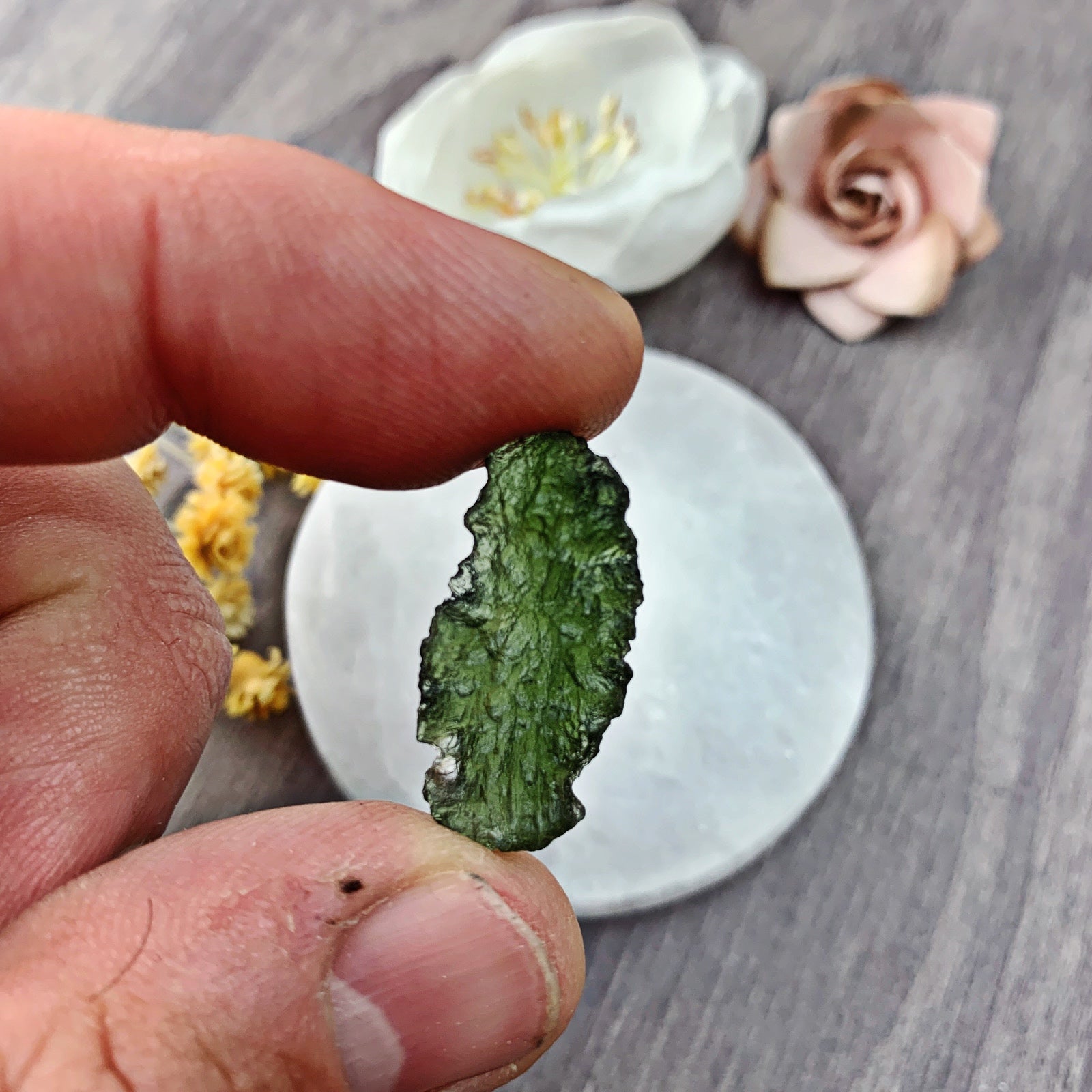 Moldavite Raw (12) - The Bead Shoppe