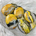 Bumblebee Jasper - Fabulous Palm Stones - The Bead N Crystal & Enclave Gems