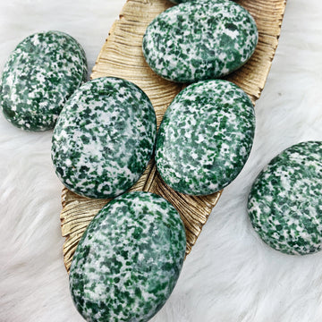 Tree Agate Palm Stone (845) - The Bead Shoppe