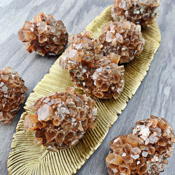 Aragonite Palm Stone (878) - The Bead Shoppe